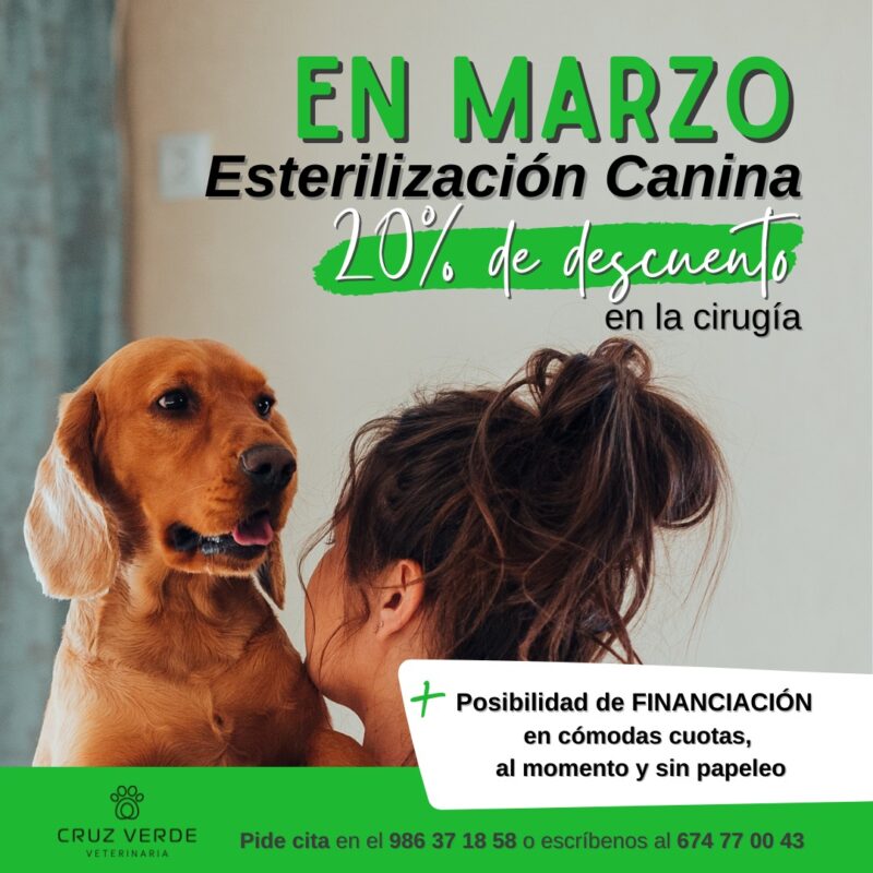 Marzo 2022 Campaña De Esterilización Canina Clínica Veterinaria Cruz